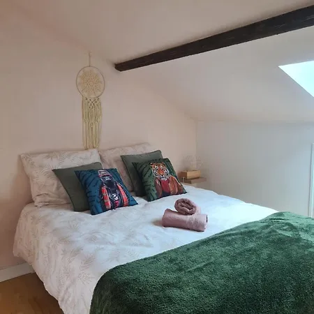 Apartment Mercadial Au Coeur De